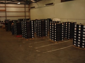 Pallets with bulbs